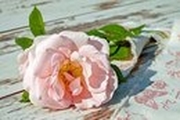 オリジナル商品の流通と営業法